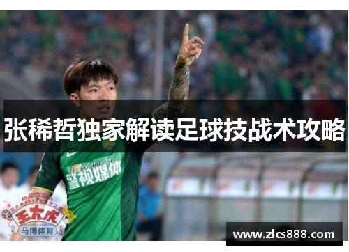 张稀哲独家解读足球技战术攻略